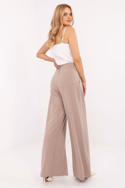  Spodnie Dresowe Model RV-DR-A613.69 Dark Beige - Relevance 
